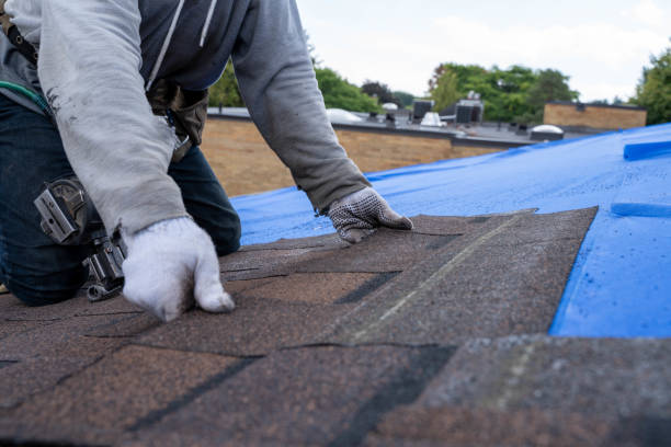 Best Emergency Roof Repair  in Salem, AR