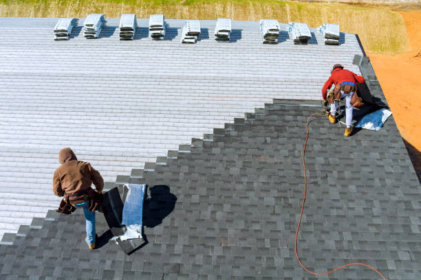 Roof Gutter Cleaning in Salem, AR