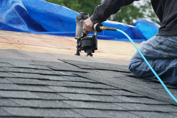 Best Local Roofing Companies  in Salem, AR