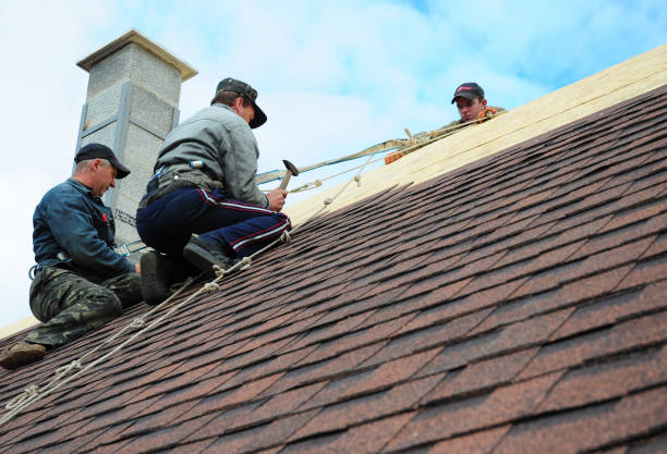 Best Commercial Roofing Services  in Salem, AR