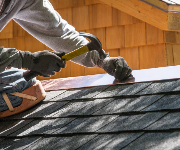 Best Roof Gutter Cleaning  in Salem, AR
